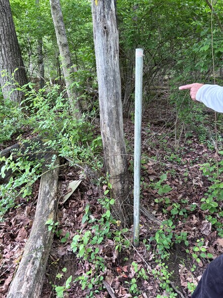 More Photos Of 30-Acres Wolfpen Pleasant Hill Rd, Day Heights Land For Sale
