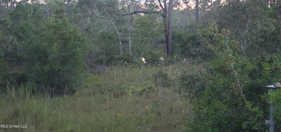 More Photos Of 8317 Highway 57, Vancleave Land For Sale