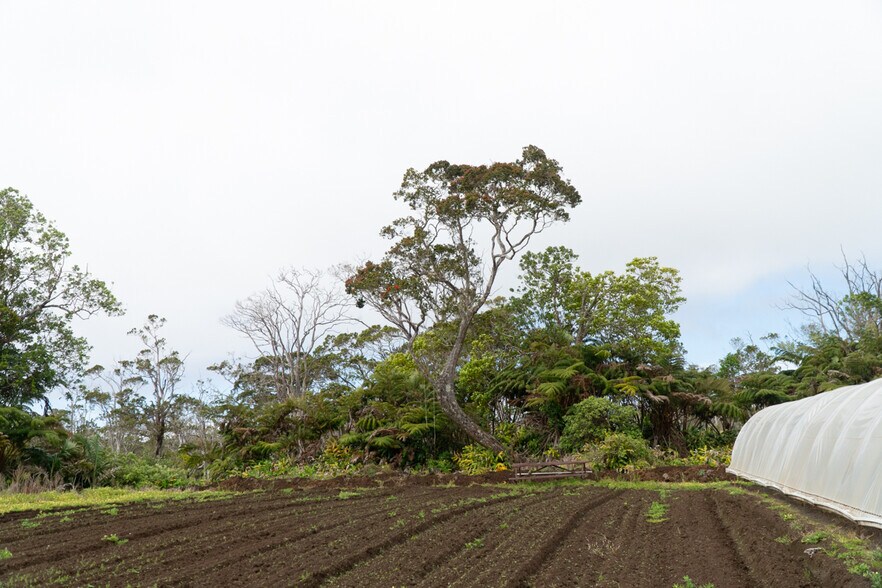 More Photos Of 19-4549 Amaumau Rd, Volcano Land For Sale