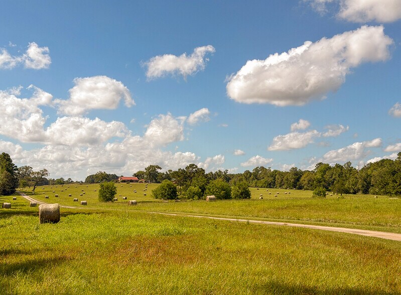 More Photos Of 567 Tamie Lowe rd, Moscow Land For Sale