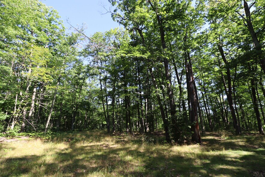 More Photos Of 35480 Whitetail Ave, Bayfield Land For Sale