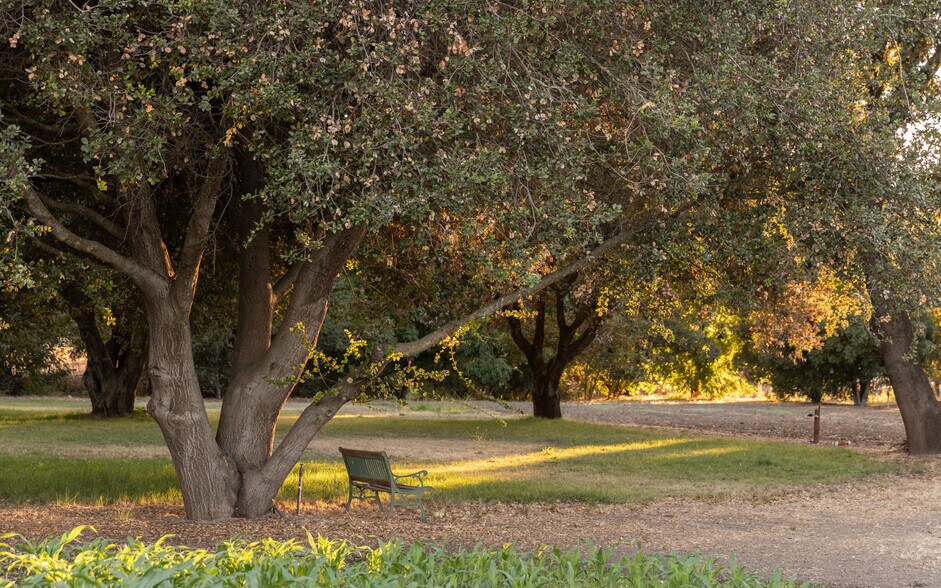 More Photos Of 0 Ragatz Lane, Napa Land For Sale