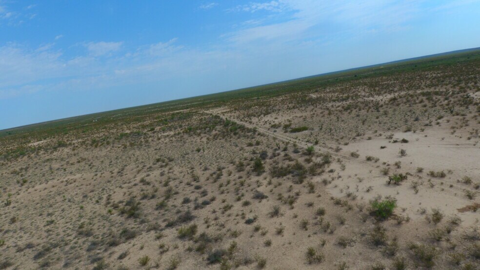 More Photos Of 0000 County Road 222, Toyah Land For Sale