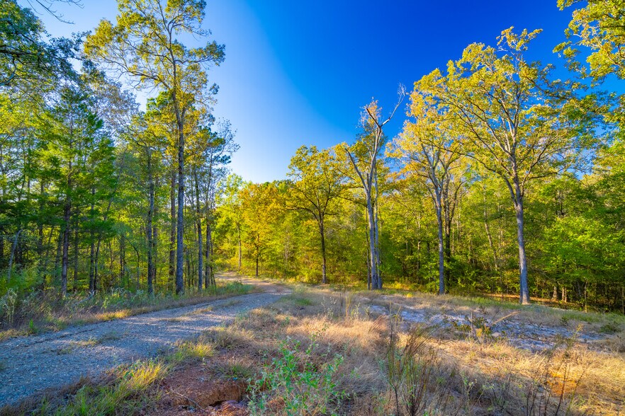 More Photos Of 391 Farm to Market 1519, Scroggins Land For Sale