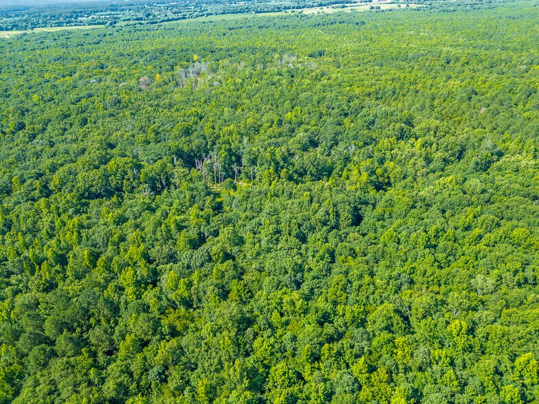 More Photos Of 2700 Hall SW st, Hartselle Land For Sale