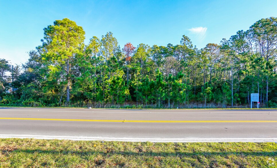 More Photos Of 13651 Reams Rd, Windermere Land For Sale