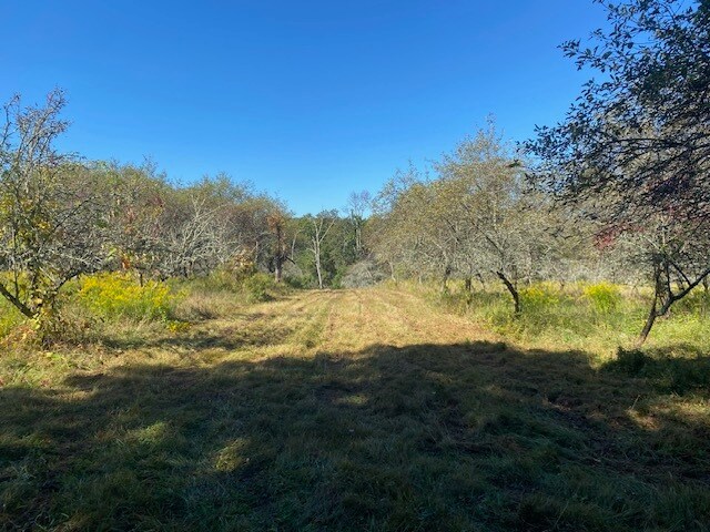 More Photos Of 989 NY-32, Wallkill Land For Sale