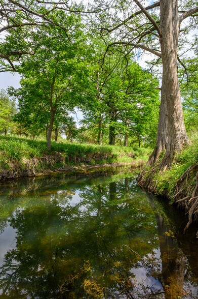 More Photos Of 114 Bledsoe Ranch Road, Center Point Land For Sale