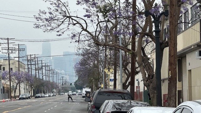 More Photos Of 3900-3912 S Broadway Pl, Los Angeles Manufacturing For Sale