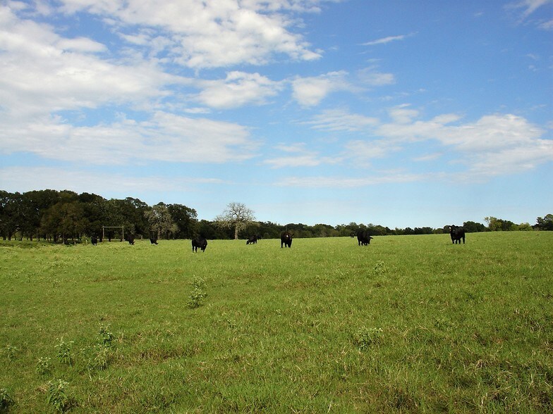 More Photos Of 53681 US 290 Hwy, Hempstead Land For Sale