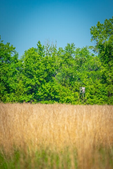 More Photos Of County Road 2592, Marietta Land For Sale