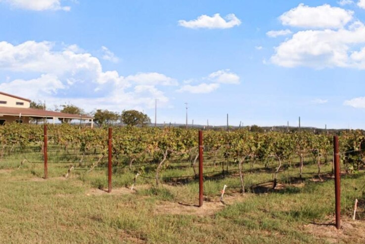 More Photos Of 11157 US 290, Hye Winery Vineyard For Sale