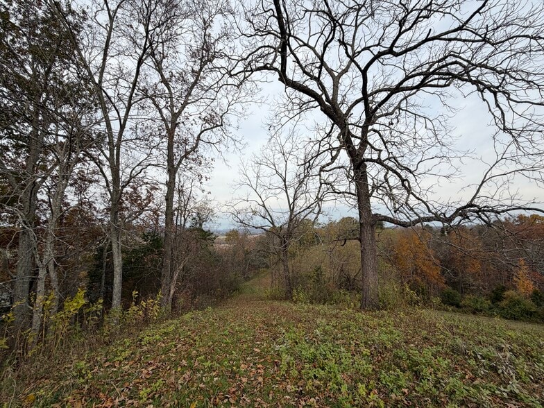 More Photos Of 23765 Charleston Rd, Leon Land For Sale