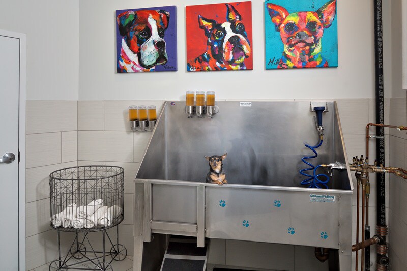 Photo of Grnd Floor Ste 