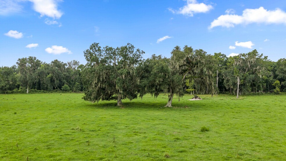 More Photos Of CR 774, Webster Land For Sale