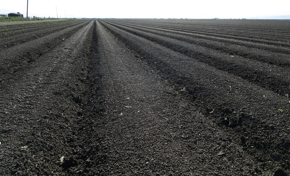 More Photos Of 8505 Frazier Lake Rd, Hollister Land For Sale