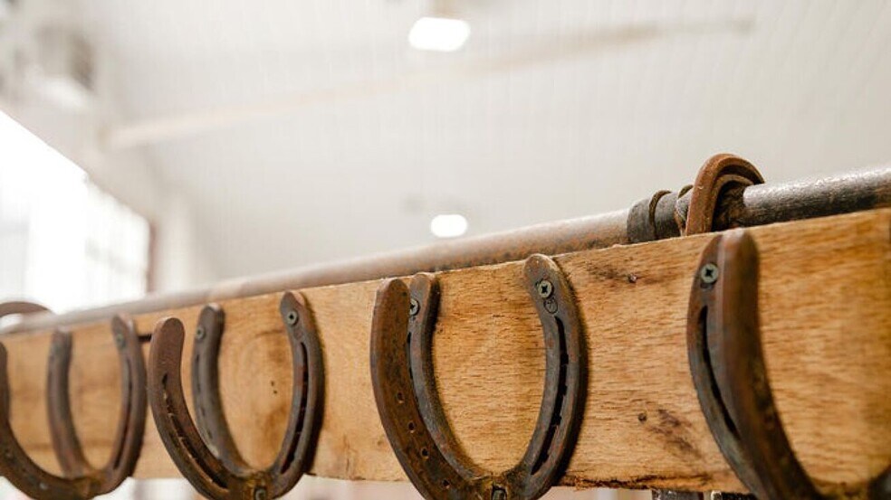 More Photos Of 352 MO-245, Dadeville Horse Stables For Sale