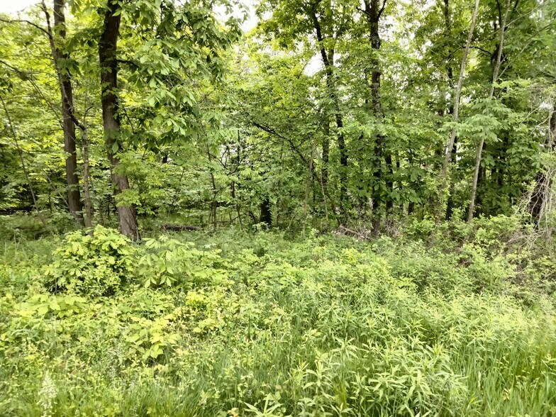 More Photos Of 0 Rt 100, Bechtelsville Land For Sale