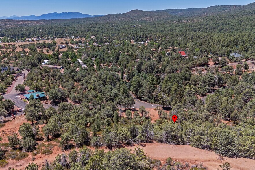 More Photos Of W Ruin Hill Loop, Pine Land For Sale