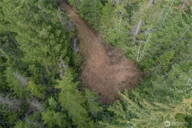 More Photos Of N US Hwy 101, Lilliwaup Land For Sale