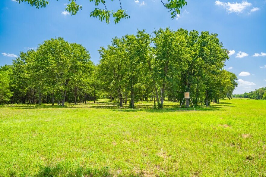 More Photos Of FM 1536 @ CR 3573, Dike Land For Sale