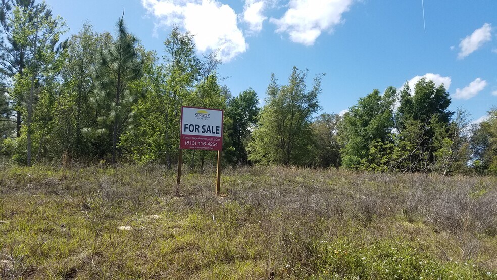 More Photos Of 9606 lecanto, Beverly Hills Land For Sale