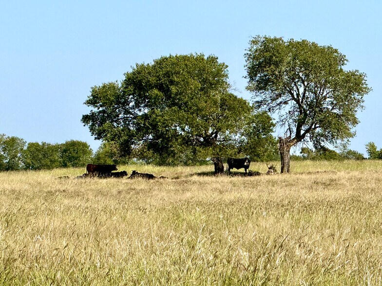 More Photos Of 5132 Eddy Gatesville Pky, Moody Land For Sale