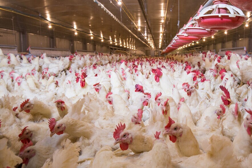 More Photos Of 3585 AN County Road 2701, Tennessee Colony Specialty For Sale