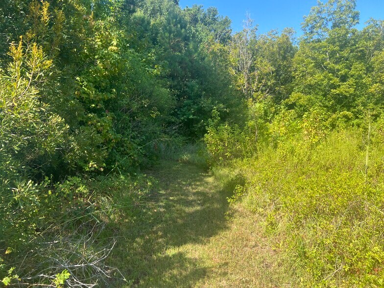More Photos Of 418 Cole Rd, Hattiesburg Land For Sale