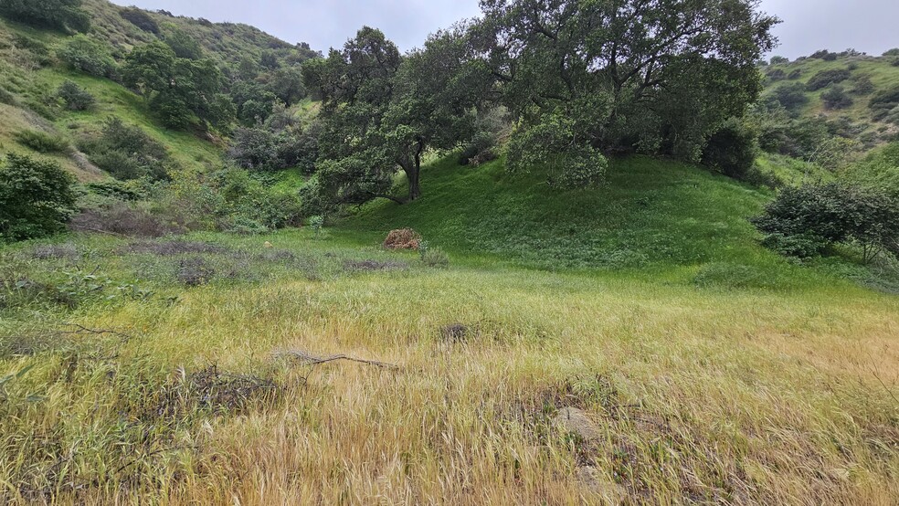More Photos Of La Tuna Canyon Rd, Sun Valley Land For Sale