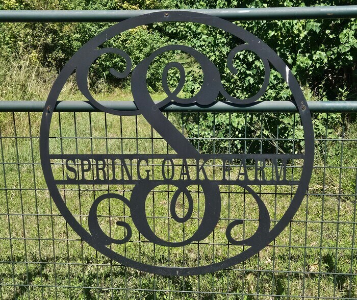 More Photos Of 145 Spring Rd, San Marcos Land For Sale