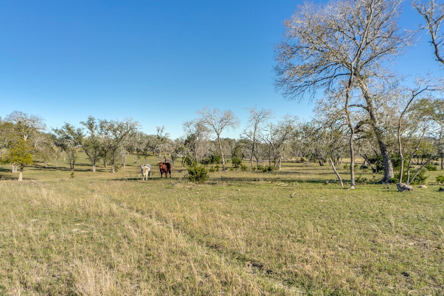 More Photos Of 636 FM 289, Comfort Land For Sale