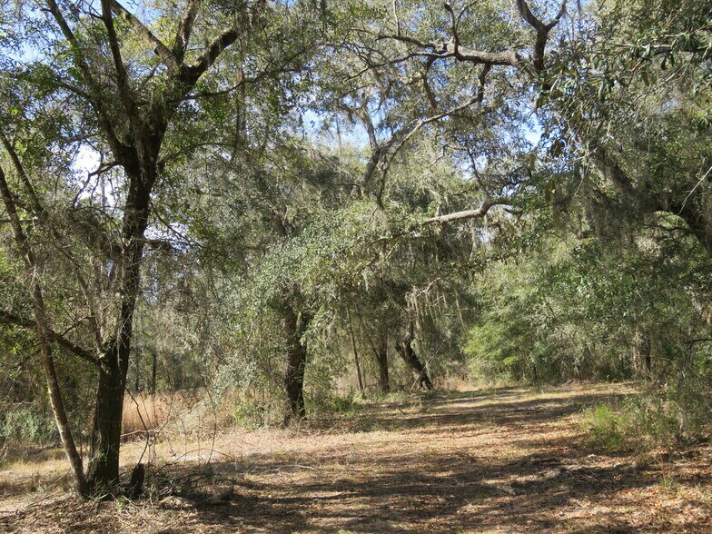 More Photos Of 9570 NE 35th st, Bronson Land For Sale