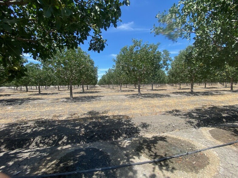 More Photos Of 8307 S Contra Costa Rd, Tranquillity Land For Sale