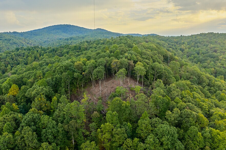 More Photos Of 243 Ridgeline Dr, Brevard Specialty For Sale
