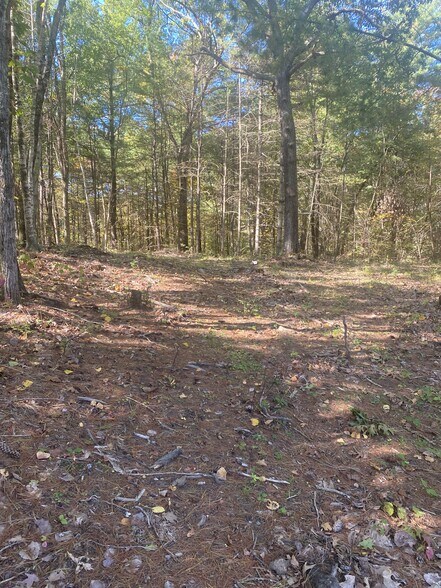 More Photos Of 126 State St, Palmer Land For Sale