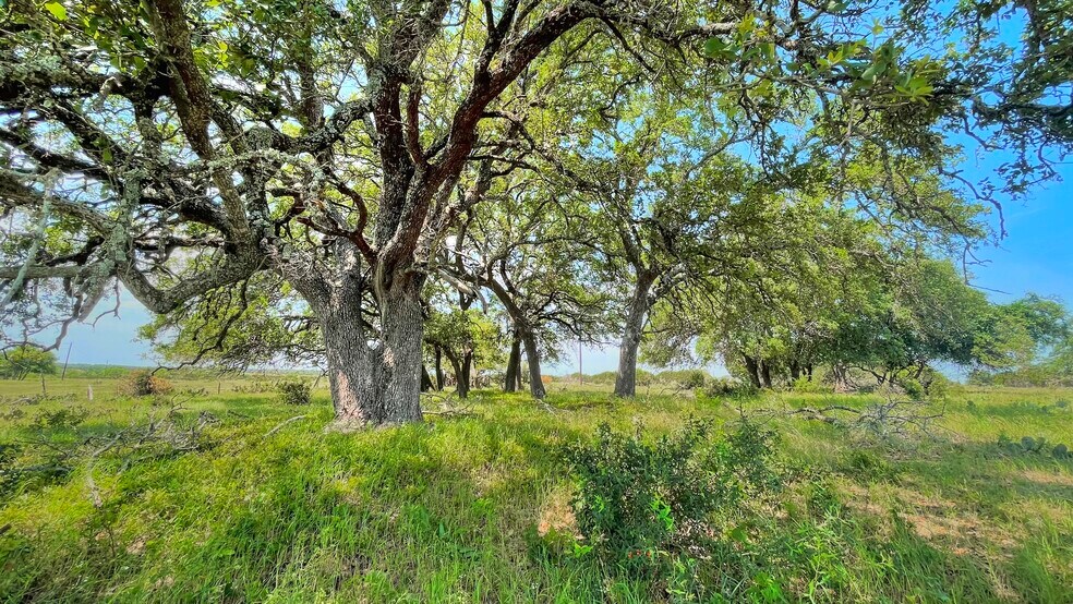 More Photos Of County Road 253, Bertram Land For Sale