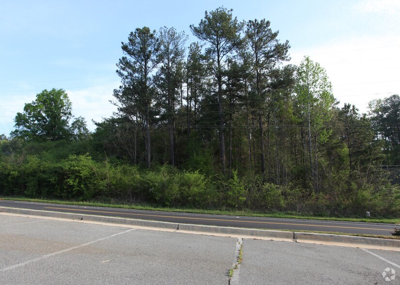 More Photos Of Maltbie St, Lawrenceville Land For Sale