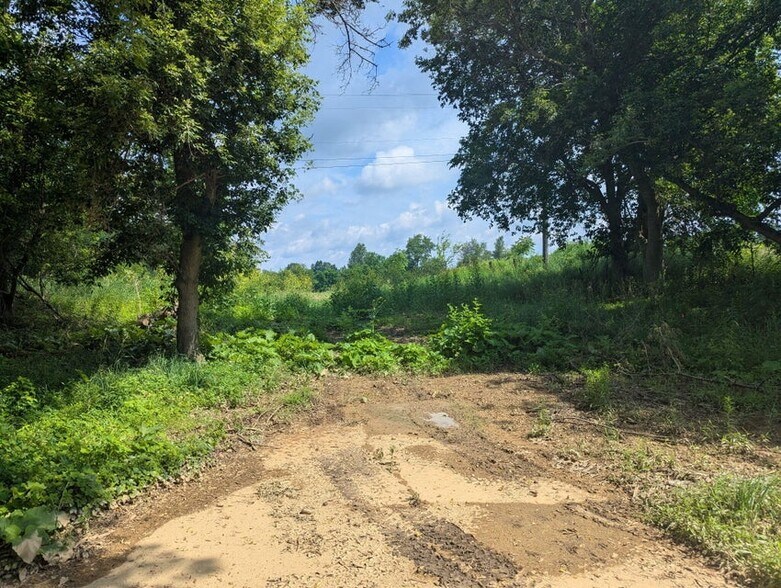 More Photos Of Lot 1 Vicary Road @ Meridian Rd. / US - 127, Cement City Land For Sale