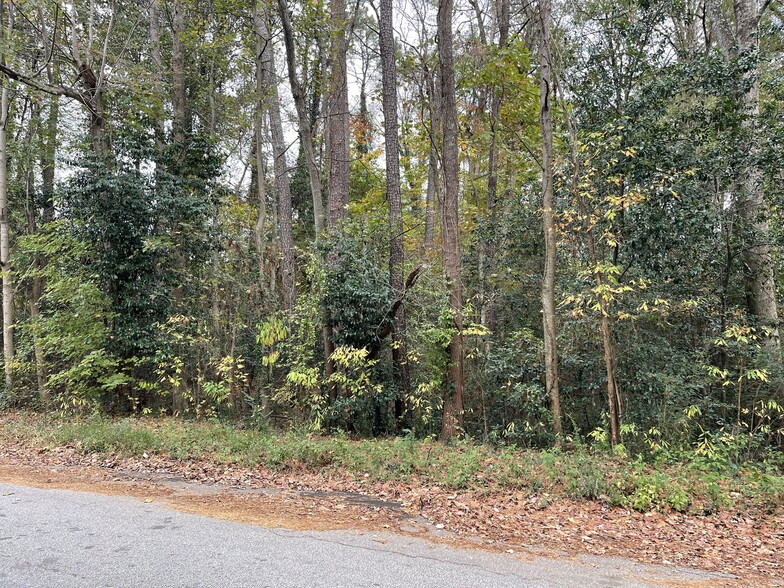 More Photos Of 4446 Glenwood Rd, Decatur Land For Sale
