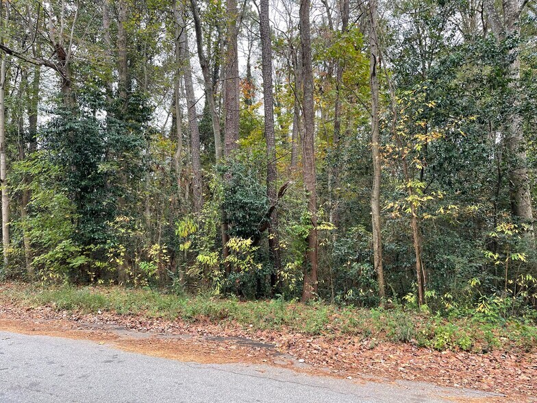 More Photos Of 4446 Glenwood Rd, Decatur Land For Sale