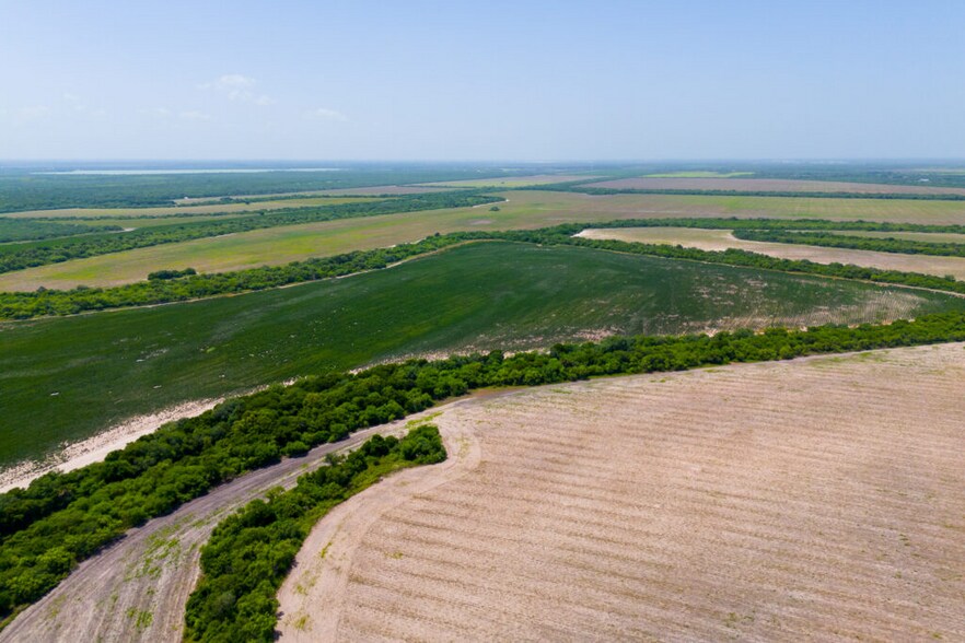 More Photos Of FM 1421 Rd, Brownsville Land For Sale