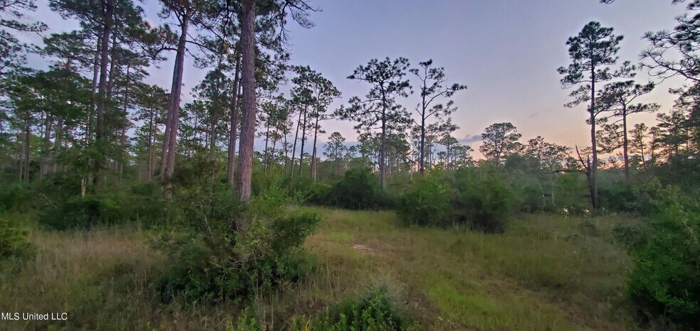 More Photos Of 8317 Highway 57, Vancleave Land For Sale