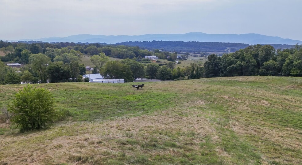 More Photos Of 90 Darnell Rd, Greeneville Land For Sale
