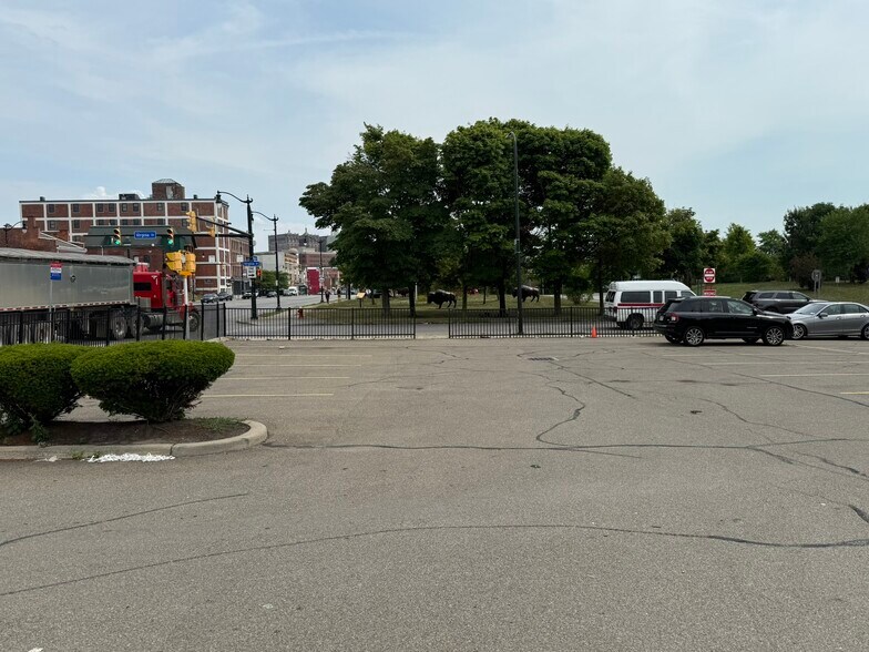 More Photos Of 350 Niagara St, Buffalo Drugstore For Lease