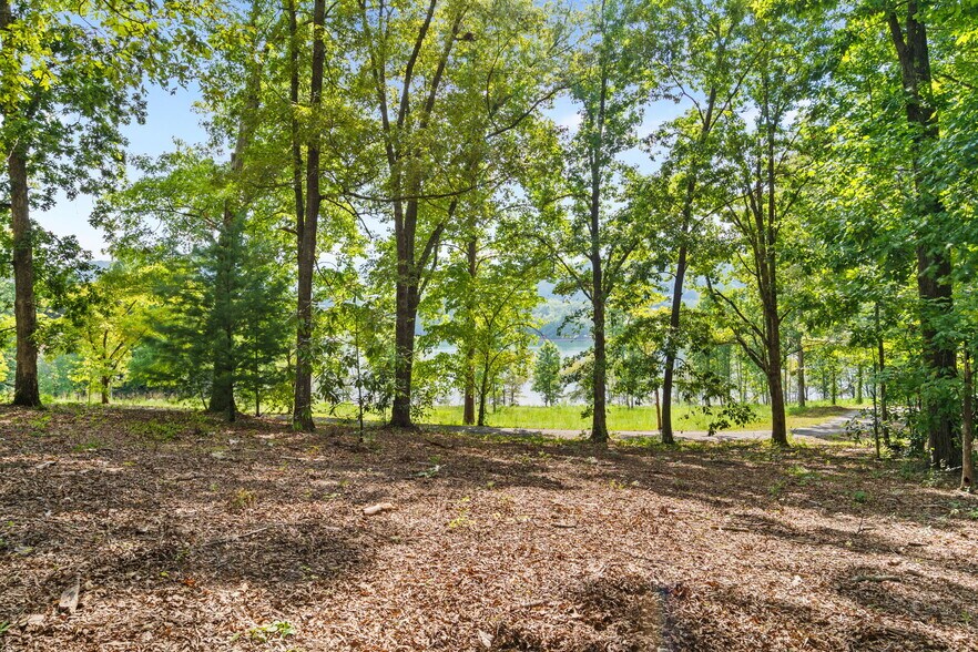 More Photos Of 314 Lakeside dr, Hiawassee Land For Sale