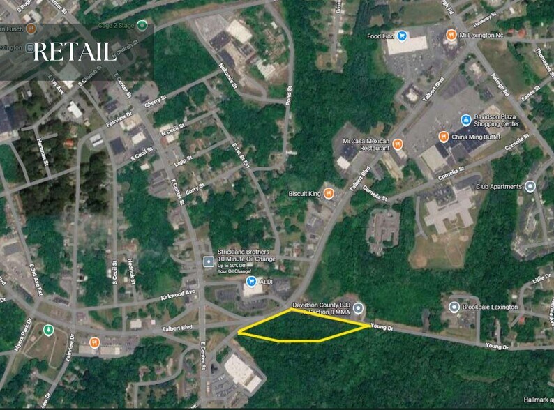 More Photos Of 0 Young Dr, Lexington Land For Sale