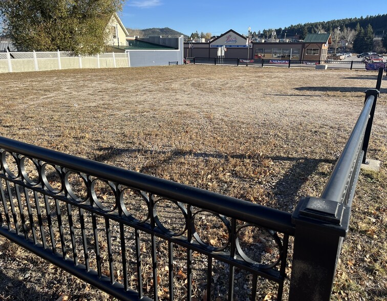 Primary Photo Of TBD Mt Rushmore Rd, Custer Land For Sale