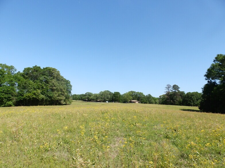 More Photos Of 3168 US Highway 175, Frankston Land For Sale