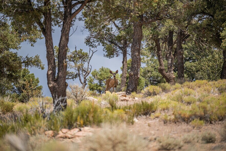 More Photos Of 550 Eagle Rdg Ln, Big Bear Lake Land For Sale